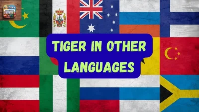 Tiger in Other Languages