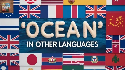 “Ocean” in Other Languages