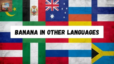 Banana in Other Languages