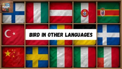 Bird in Other Languages