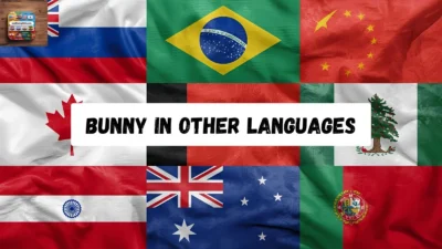 Bunny in Other Languages