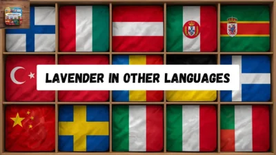 Lavender in Other Languages