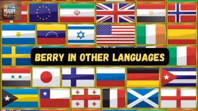 Berry in Other Languages