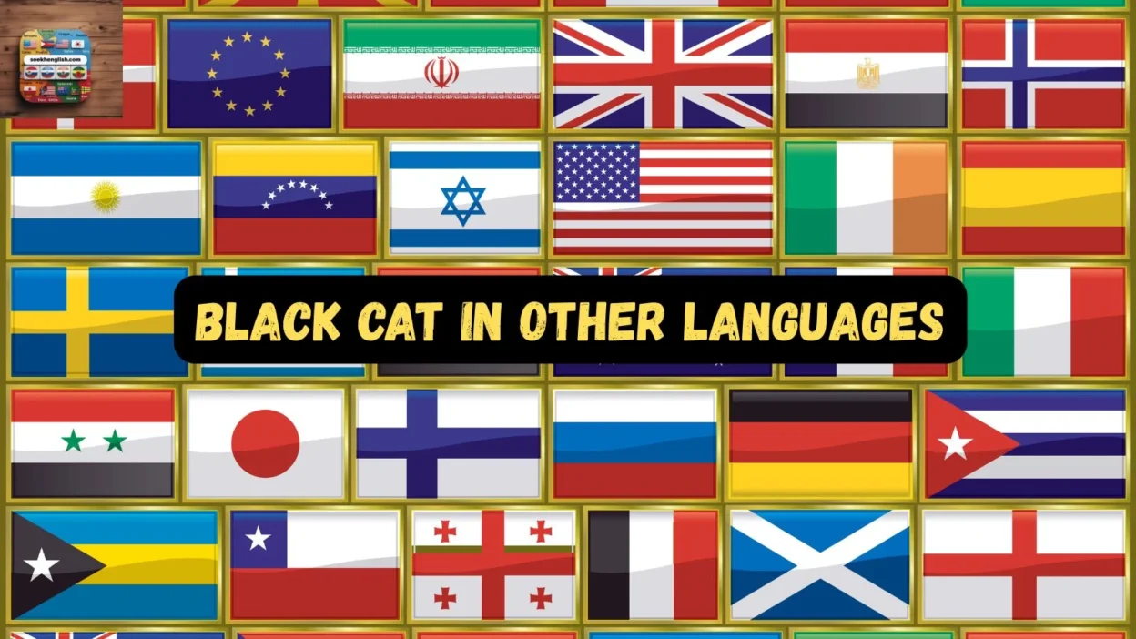 Black Cat in Other Languages