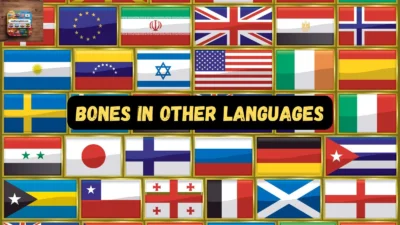 Bones in Other Languages