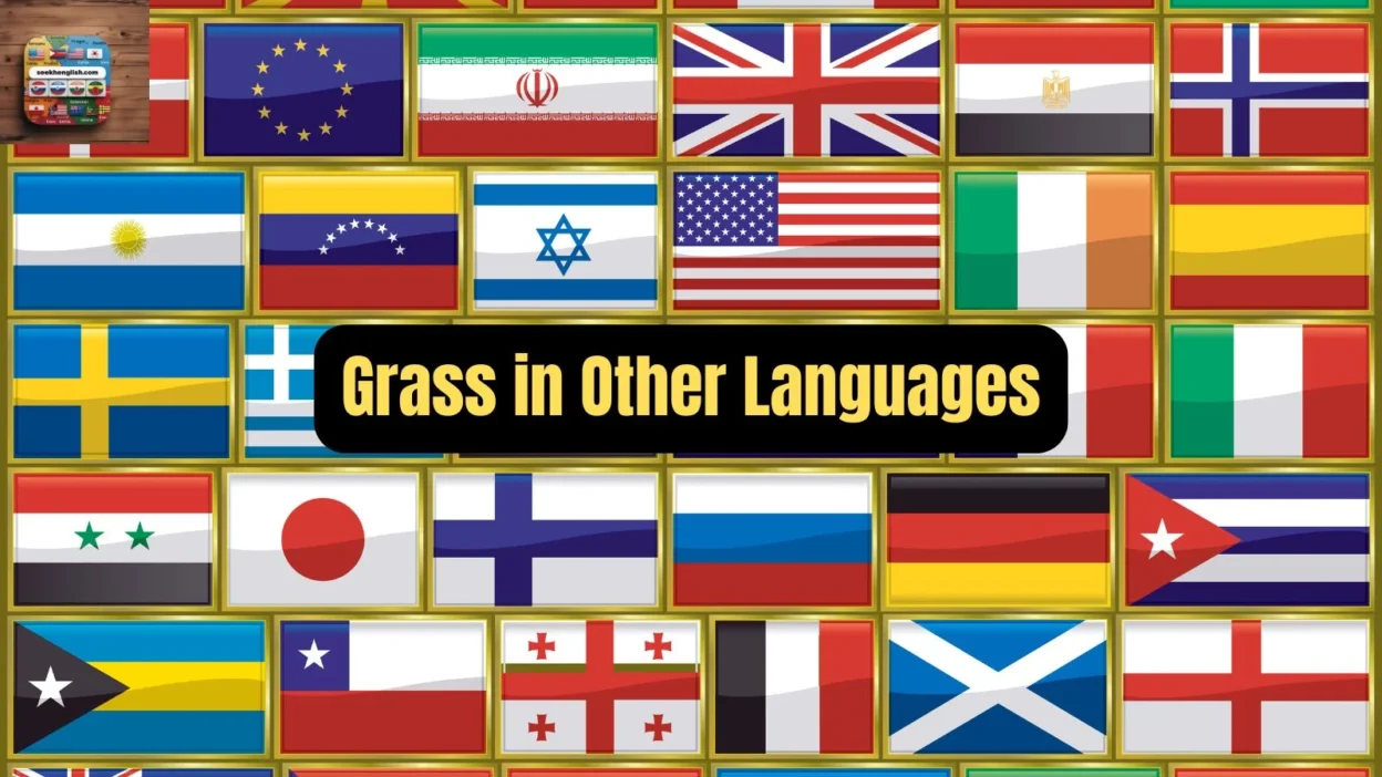 Grass in Other Languages
