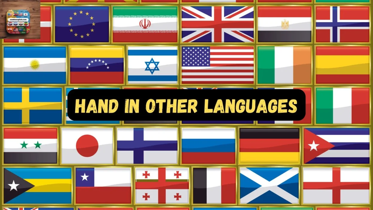 Hand in Other Languages