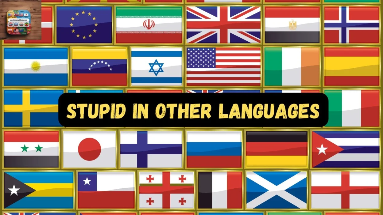 Stupid in Other Languages