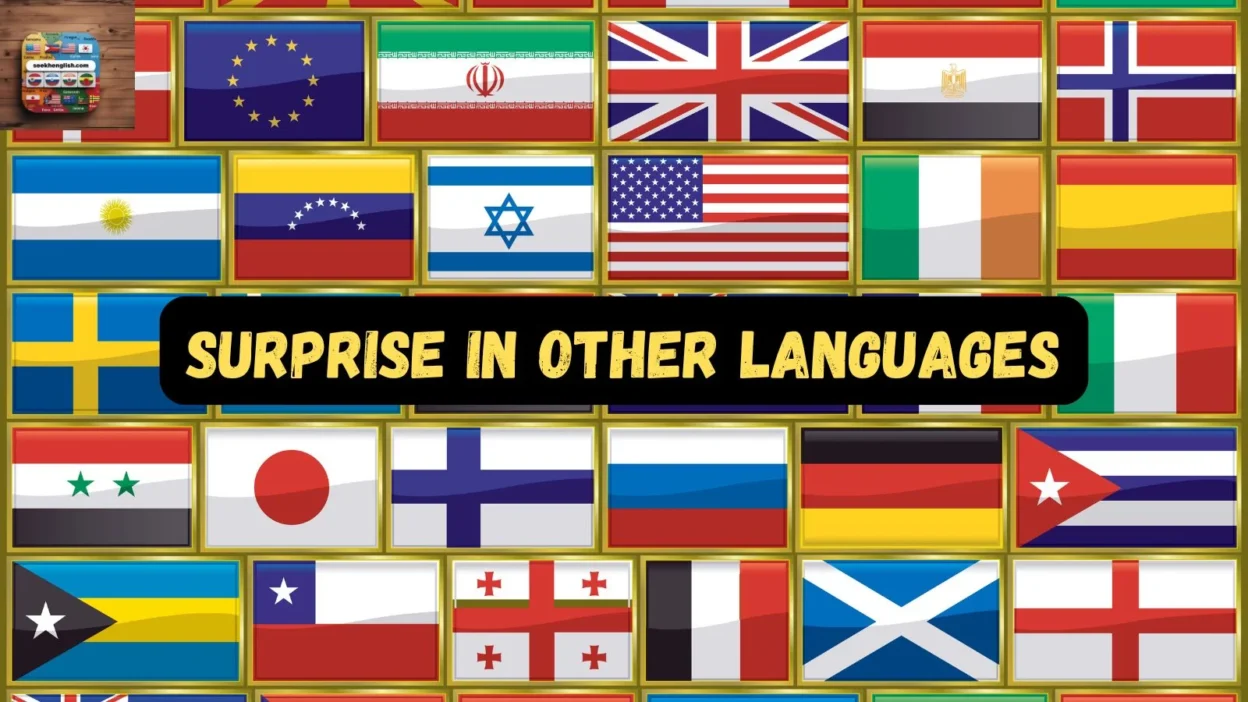 Surprise in Other Languages