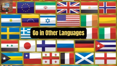 Go in Other Languages