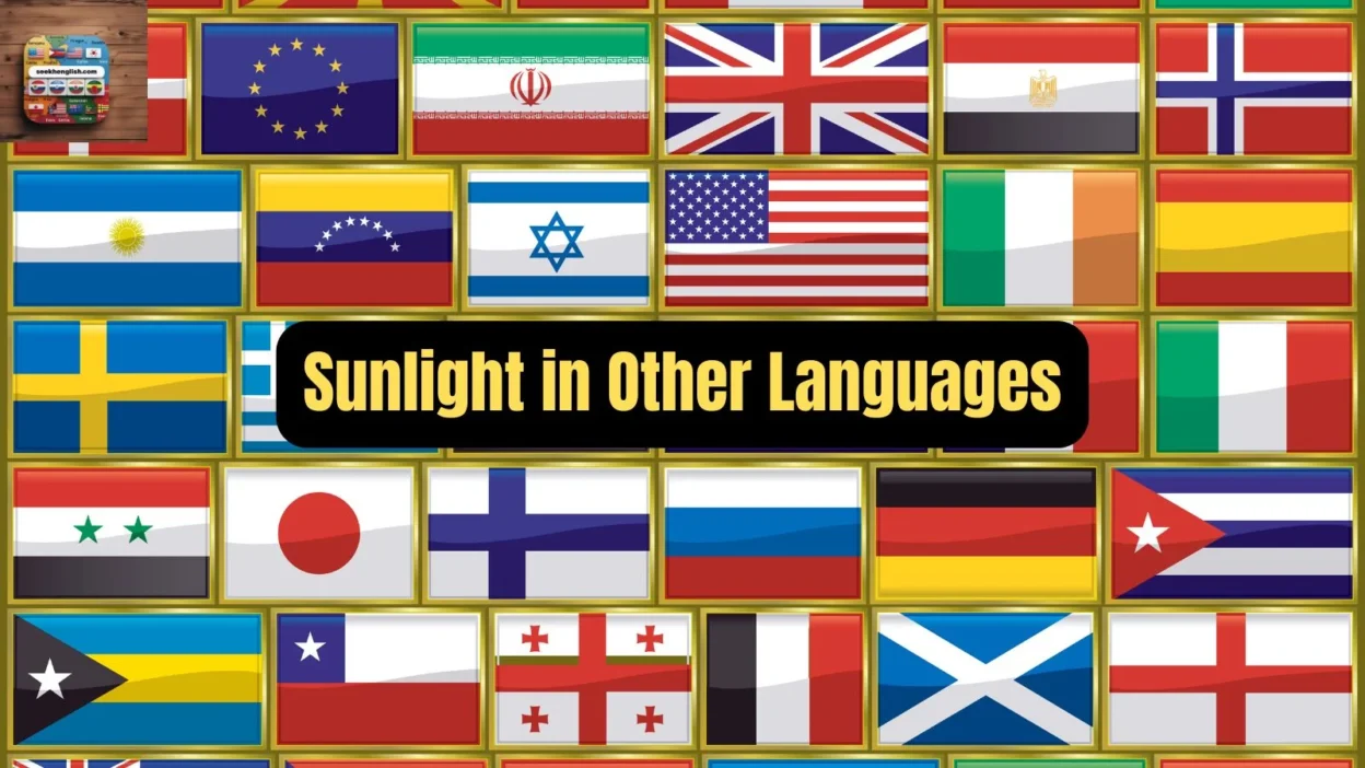Sunlight in Other Languages